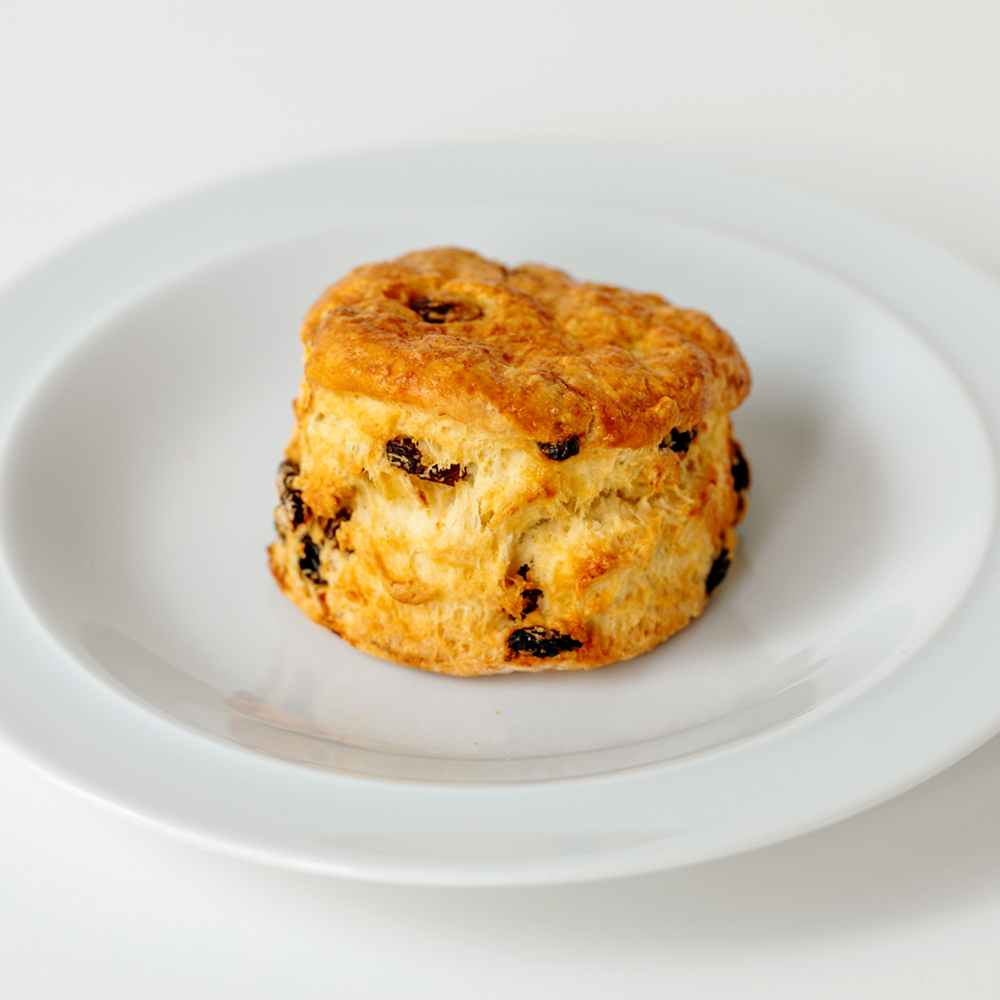 BASIC SCONE